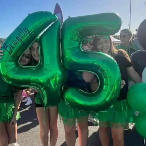 bringelly-community 1