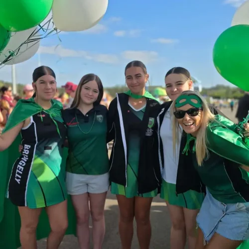 bringelly-community 2